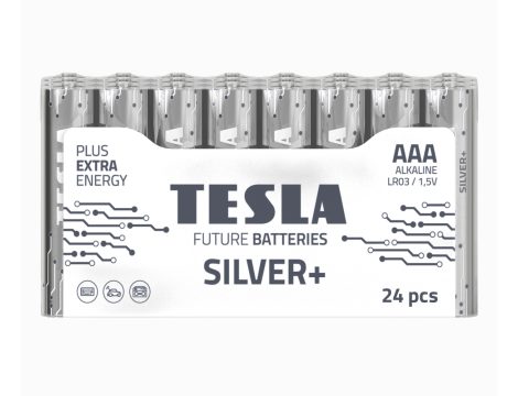 Alkaline battery  LR03 TESLA SILVER+F24