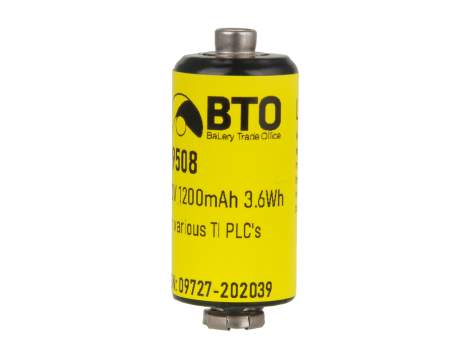Lithium Battery Texas PLC B9508/2587678-8005 - 2