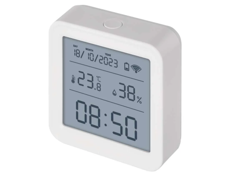 Wireless thermometer EGS0101